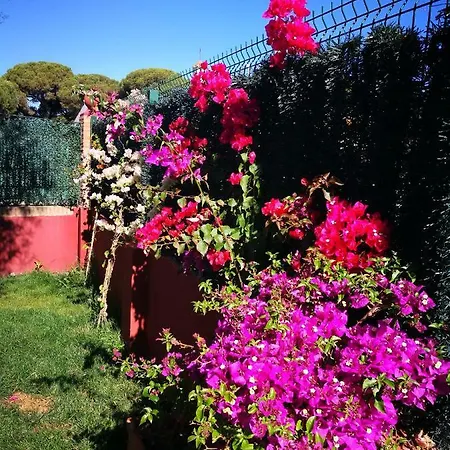 Bed & Breakfast Le Ali Del Cuore